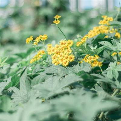 leyu·乐鱼体育下载手机版截图